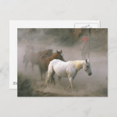 Cowboy Herding Postkarte (Vorne/Hinten)