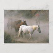 Cowboy Herding Postkarte (Vorderseite)