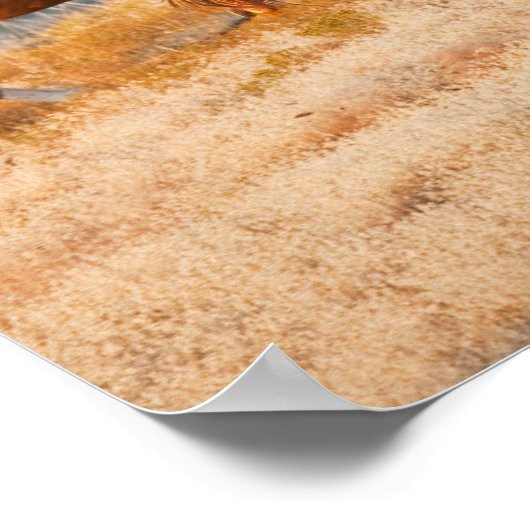 Cowboy herding wild horses 2 poster (Ecke)