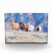 Cowboy Horse Drive auf der Hideout Ranch Fotoblock (Vorderseite)