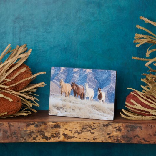 Cowboy Horse Drive auf der Hideout Ranch Fotoplatte (Seite)