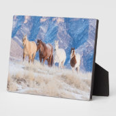 Cowboy Horse Drive auf der Hideout Ranch Fotoplatte (Seite)