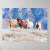 Cowboy Horse Drive auf der Hideout Ranch Poster (Vorne)