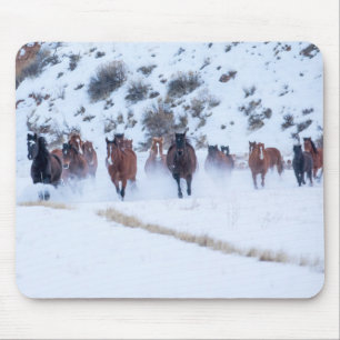 Cowboy Horse Drive   Hideout Ranch Muschel, Wyomin Mousepad