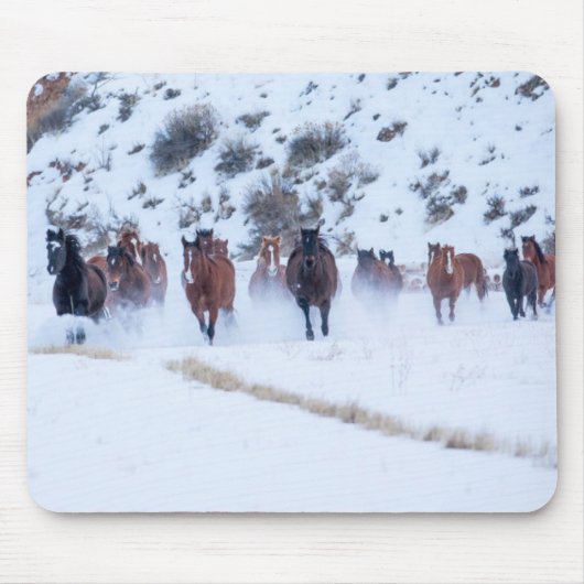 Cowboy Horse Drive | Hideout Ranch Muschel, Wyomin Mousepad (Vorne)