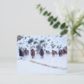 Cowboy Horse Drive | Hideout Ranch Muschel, Wyomin Postkarte (Stehend Vorderseite)