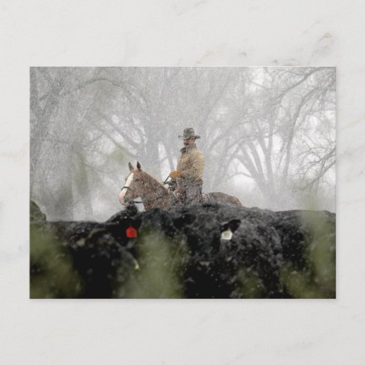 Cowboy im Winter Postkarte (Vorderseite)