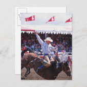 Cowboy in einem Rodeo Postkarte (Vorne/Hinten)