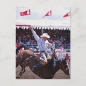 Cowboy in einem Rodeo Postkarte (Vorderseite)