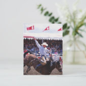 Cowboy in einem Rodeo Postkarte (Stehend Vorderseite)