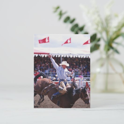 Cowboy in einem Rodeo Postkarte (Stehend Vorderseite)