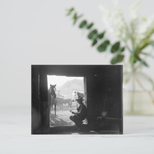 Cowboy in einer Tür mit Pferden Postkarte (Stehend Vorderseite)
