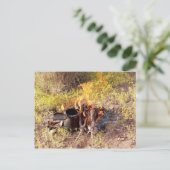 Cowboy-Kaffee in Dolan Springs, Arizona Postkarte (Stehend Vorderseite)