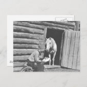 Cowboy liest einen Brief mit einem Pferd Postkarte (Vorne/Hinten)