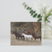 Cowboy mit Herd Postkarte (Stehend Vorderseite)
