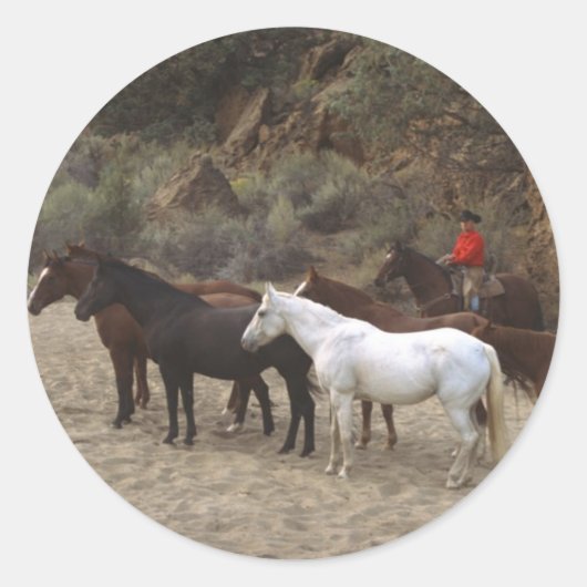 Cowboy mit Herd Runder Aufkleber (Vorderseite)