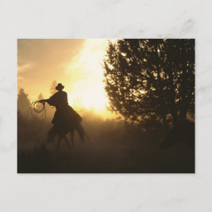 Cowboy mit Lasso in Sunset Postkarte