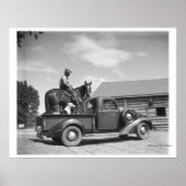 Cowboy mit Pferd im LKW Poster (Vorne)
