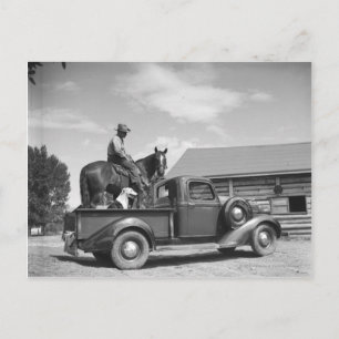 Cowboy mit Pferd im LKW Postkarte