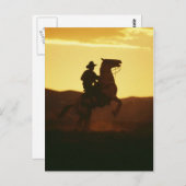 Cowboy on Rearing Horse Postkarte (Vorne/Hinten)