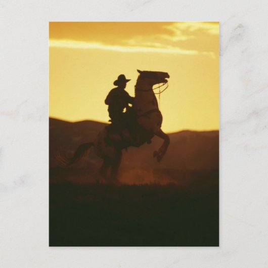 Cowboy on Rearing Horse Postkarte (Vorderseite)