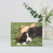 Cowboy Puppy Postkarte (Stehend Vorderseite)