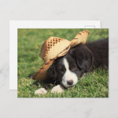 Cowboy Puppy Postkarte (Vorne/Hinten)