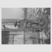 Cowboy Rancher oder kanadischer Gesetzentwurf des Seidenpapier (Vorderseite)