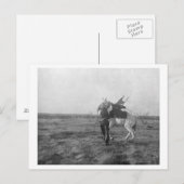 Cowboy "Red Saunders" Saddles a Bronco Postkarte (Vorne/Hinten)