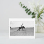 Cowboy reiten einen Buckbull Postkarte (Stehend Vorderseite)