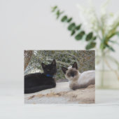 Cowboy & Shiva Postkarte (Stehend Vorderseite)