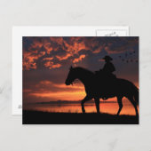 Cowboy Sunset Postkarte (Vorne/Hinten)