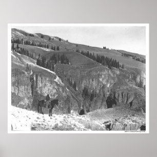 Cowboy trennte sich von seiner Herde. Poster