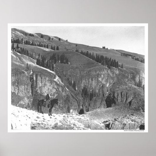 Cowboy trennte sich von seiner Herde. Poster (Vorne)