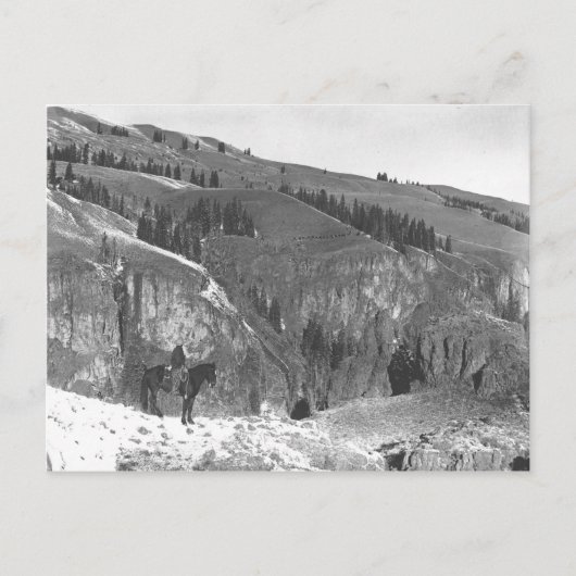 Cowboy trennte sich von seiner Herde. Postkarte (Vorderseite)