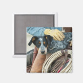 Cowboy und Hund auf Pferd Magnet (Vorderseite/Rückseite)
