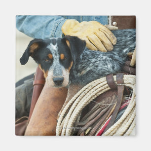 Cowboy und Hund auf Pferd Magnet