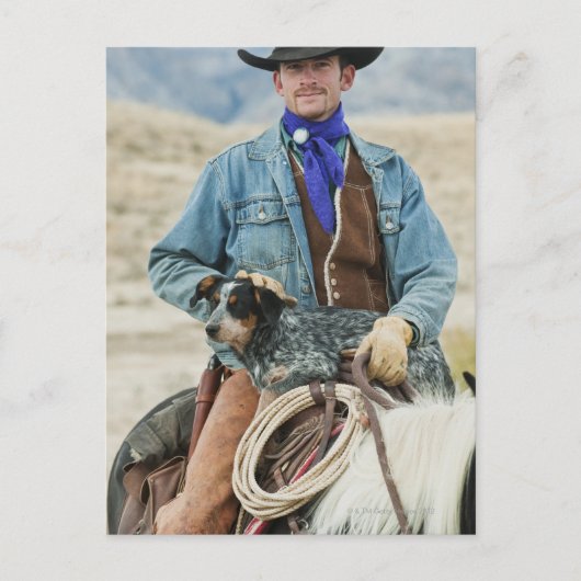 Cowboy und Hund auf Pferd Postkarte (Vorderseite)
