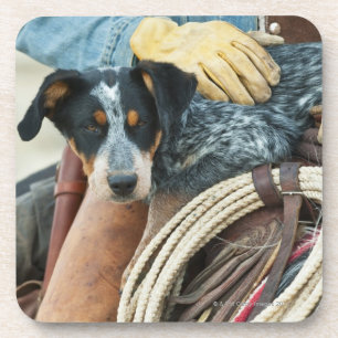 Cowboy und Hund auf Pferd Untersetzer