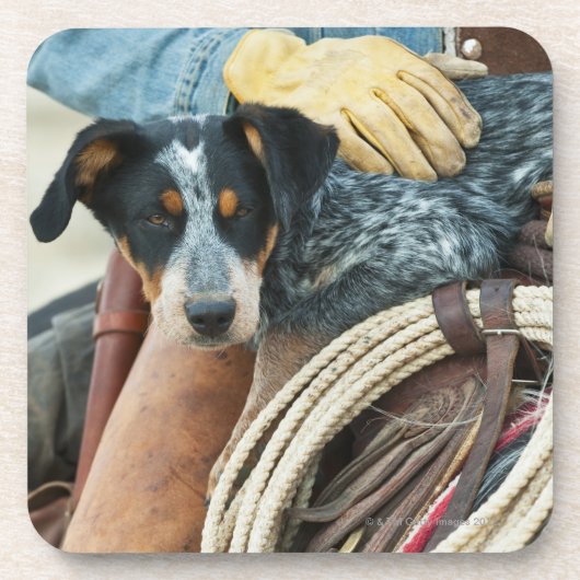 Cowboy und Hund auf Pferd Untersetzer (Vorderseite)
