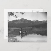 Cowboy und Pferd im Teich Postkarte (Vorne/Hinten)