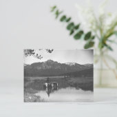 Cowboy und Pferd im Teich Postkarte (Stehend Vorderseite)