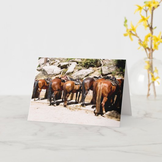 Cowboy up Get well bald card Karte (Gelbe Blume)