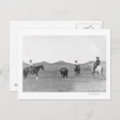 Cowboys auf Pferden Roping Buffalo Fotografie Postkarte (Vorne/Hinten)