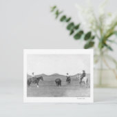 Cowboys auf Pferden Roping Buffalo Fotografie Postkarte (Stehend Vorderseite)