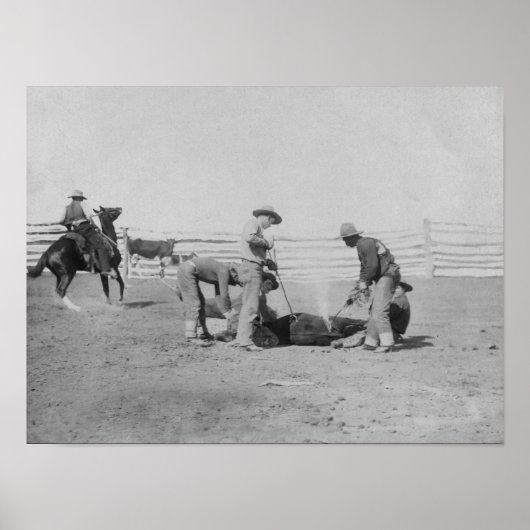 Cowboys Branding a Calf FotoSouth Dakota Poster (Vorne)