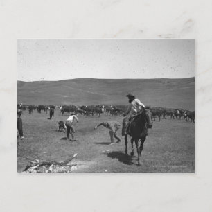 Cowboys Branding Postkarte