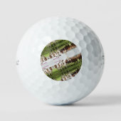 Cowboys & Cowgirls Golfball (Vorderseite)