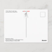 Cowboys, die auf der Karte essen (Rückseite)