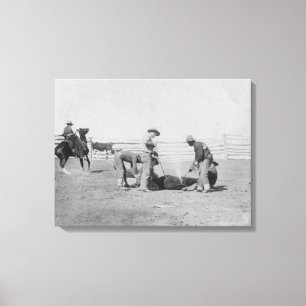 Cowboys, die ein Kalb PhotographSouth Dakota Leinwanddruck
